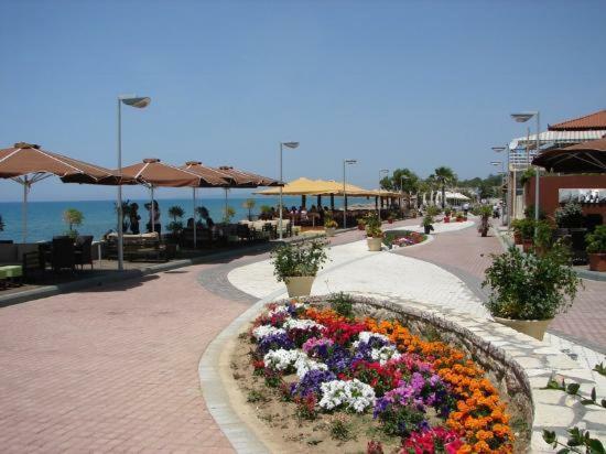 Villa Revita Kourouta Beach Exteriör bild